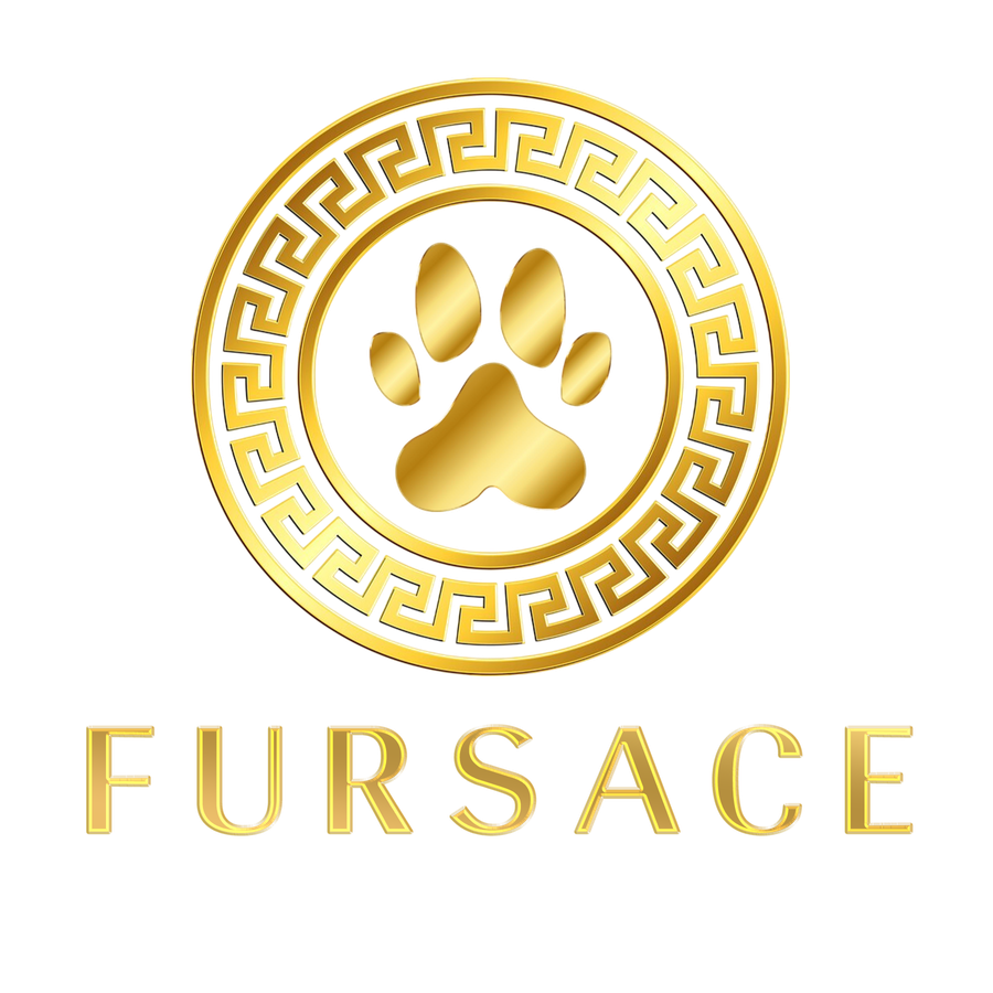 Fursace logo